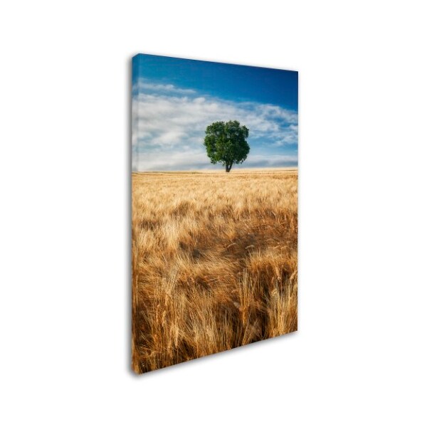 Michael Blanchette Photography 'Wheat Field Tree' Canvas Art,30x47